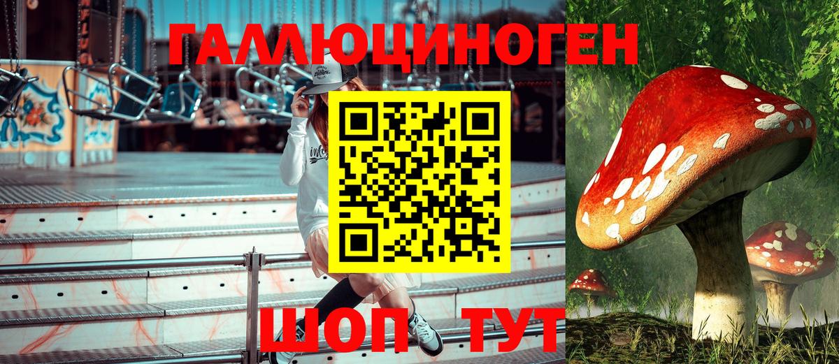 Псилоцибиновые грибы MAGIC MUSHROOMS  Псилоцибиновые грибы прущие грибы  Вход с VPN  Реж 